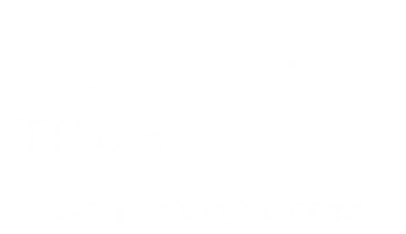 True North Overhead Doors logo
